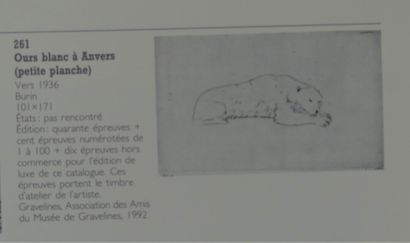 HECHT Joseph (1891-1951). Petit ours, c....