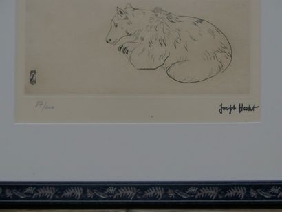 HECHT Joseph (1891-1951). Petit ours, c....