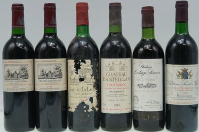 6 bouteilles de vin de Bordeaux Haut-Médoc:

1...