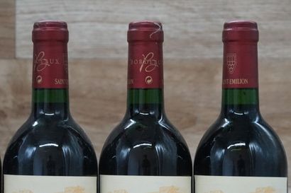 6 bouteilles de Saint-Emilion Clos des Menuts...