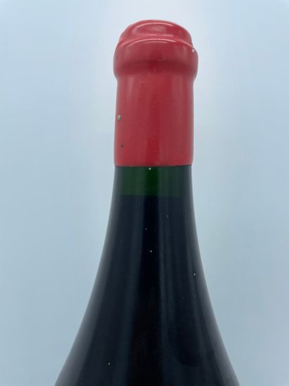 1 JEROBOAM de MORGON 2010, MARCEL LAPIERRE.

Niveau,...