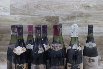 Réunion de 11 bouteilles comprenant :

-...