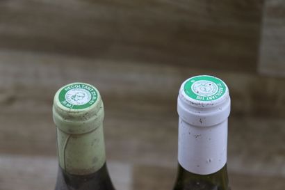 BOURGOGNE
Réunion de 3 bouteilles : 



1...