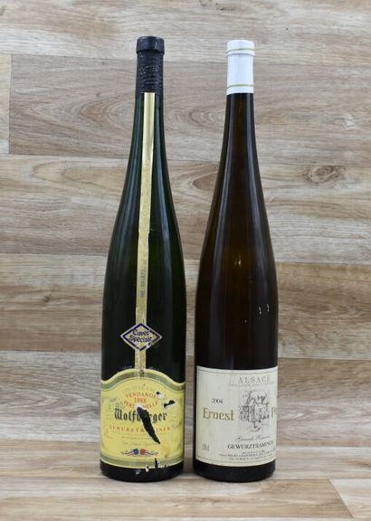 GEWURZTRAMINER 2004
1 Magnum de GEWURZTRAMINER...