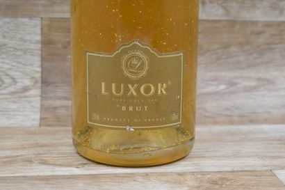 CHAMPAGNE LUXOR
1 Magnum de CHAMPAGNE LU...