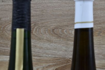 GEWURZTRAMINER 2004
1 Magnum de GEWURZTRAMINER...