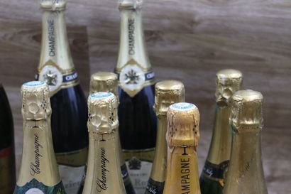 Lot de 10 Bouteilles de Champagne dont :...
