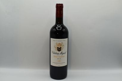 Réunion deux bouteilles Médoc - Saint Estèphe



1...