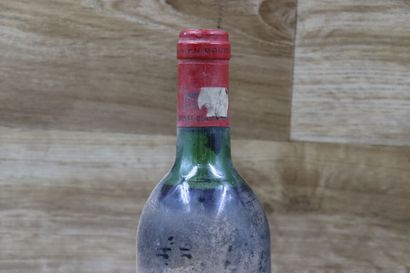 CHEVAL BALNC
1 bouteille de CHATEAU BLANC...