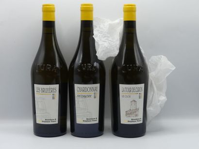 Réunion de 3 bouteilles d'Arbois.



1 Bouteille...