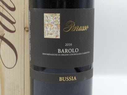1 MG BAROLO BUSSIA PARUSSO, ROUGE 2016



VENTE...