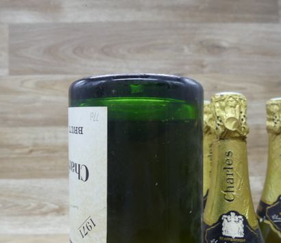CHARLES HEIDSIECK
9 bouteilles de CHARLES...