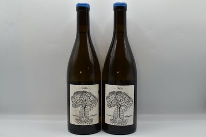 2 Bouteilles de MUSCADET GAIA J.BRETEAUDEAU	BLANC	2018



VENTE...