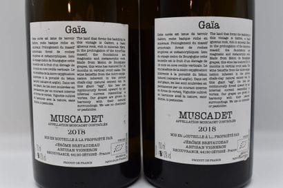 2 Bouteilles de MUSCADET GAIA J.BRETEAUDEAU	BLANC	2018



VENTE...
