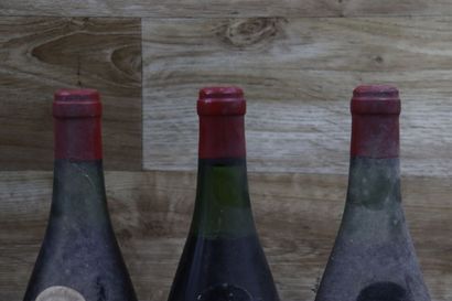 6 bouteilles de MOULIN A VENT, Château des...