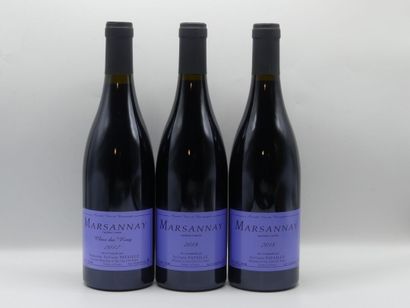Réunion de 9 bouteilles Marsannay Clos du...