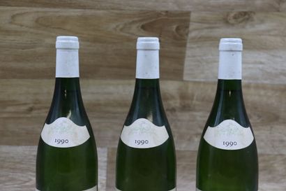 CHASSAGNE MONTRACHET 1er Cru
3 bouteilles...