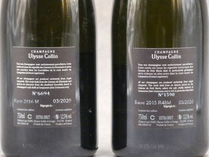 Réunion de 2 bouteilles de Champagne



1...