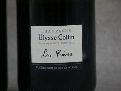 Réunion de 2 bouteilles de Champagne



1...