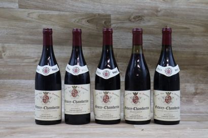 5 Bouteilles de GEVREY-CHAMBERTIN 2002, CHRISTIAN...