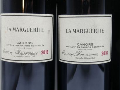 Réunion de 4 bouteilles de Cahors



2 Bouteilles...