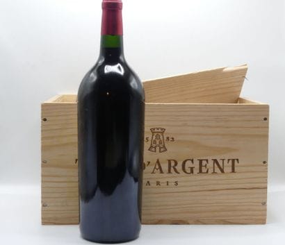 Réunion deux Magnums Languedoc-Roussillon,



1...