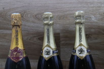 Lot de 10 Bouteilles de Champagne dont :...