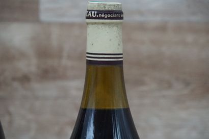 2 flacons de vin rouge Bourgogne Côte de...