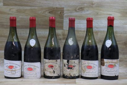 6 bouteilles NUIT SAINT GEORGES, S. Calvet...