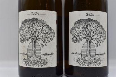 2 Bouteilles de MUSCADET GAIA J.BRETEAUDEAU	BLANC	2018



VENTE...
