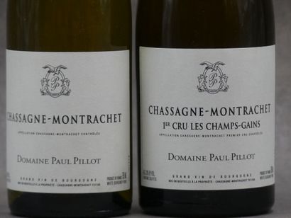 Réunion de deux bouteilles Chassagne Montrachet



1...