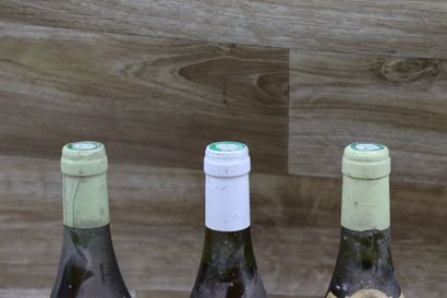 BOURGOGNE
Réunion de 3 bouteilles : 



1...