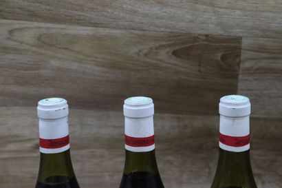Lot de 5 Bouteilles DOMAINE JESSIAUME PERE...