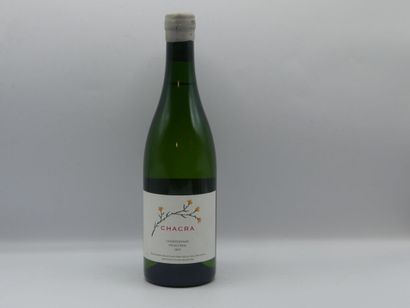 Réunion de 3 bouteilles provenance Argentine...