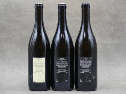 Réunion de 9 bouteilles Pouilly Fumé



1...