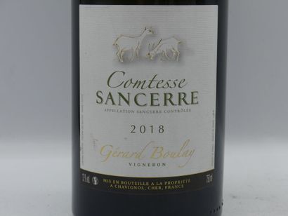 Réunion de 3 bouteilles de Sancerre



1...