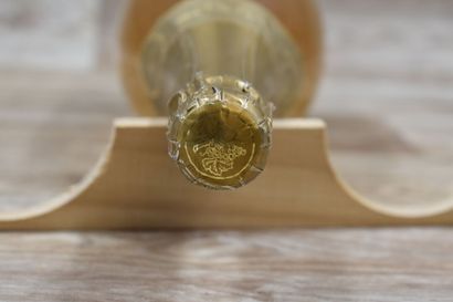 CHAMPAGNE LUXOR
1 Magnum de CHAMPAGNE LU...
