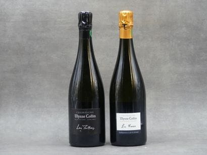 Réunion de 2 bouteilles de Champagne



1...