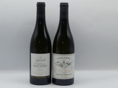 Réunion de 3 bouteilles de Sancerre



1...