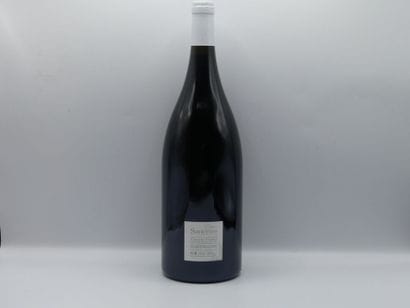 Réunion de 2 bouteilles Sancerre 



1 Bouteille...