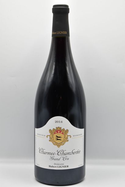 Réunion de 3 Magnums Bourgogne Cote de Nuits



1...