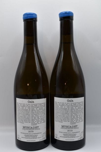 2 Bouteilles de MUSCADET GAIA J.BRETEAUDEAU	BLANC	2018



VENTE...