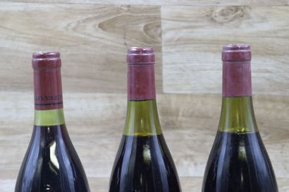 Lot de 3 Bouteilles dont : 2 SANTENAY-BEAUREGARD...