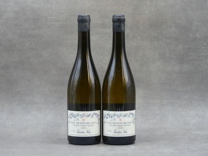 Réunion de 3 bouteilles de blanc



1 Bouteille...