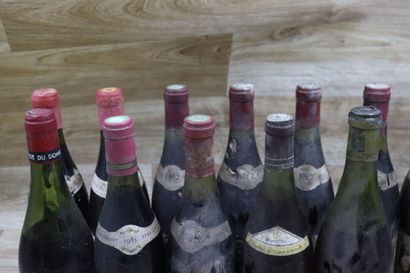 Lot de 12 bouteilles comprenant : 

- 2 bouteilles...
