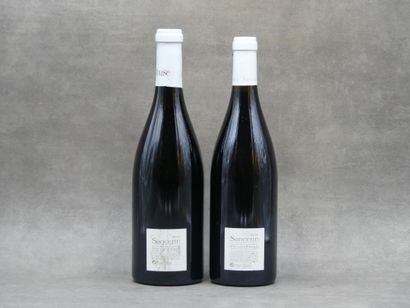 Réunion de 3 bouteilles de Sancerre



2...