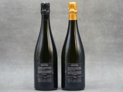 Réunion de 2 bouteilles de Champagne



1...