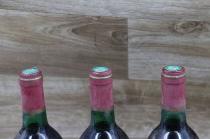 3 bouteilles de CHATEAU SEGUIN 1996.