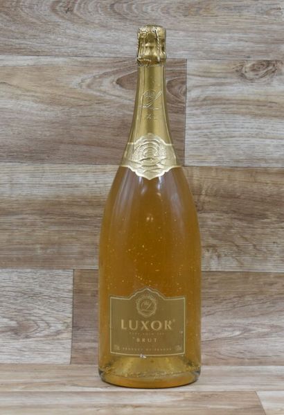 CHAMPAGNE LUXOR
1 Magnum de CHAMPAGNE LU...
