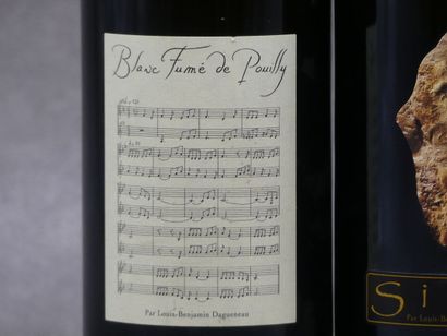 Réunion de 9 bouteilles Pouilly Fumé



1...